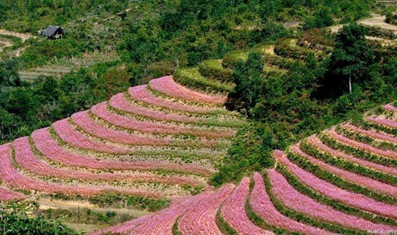 Nha Nghi T&T Hotel Dồng Van Bagian luar foto