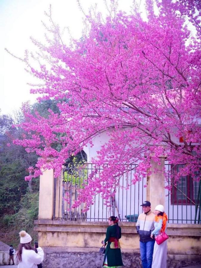 Nha Nghi T&T Hotel Dồng Van Bagian luar foto