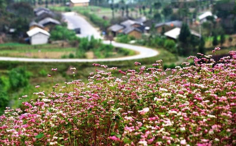 Nha Nghi T&T Hotel Dồng Van Bagian luar foto