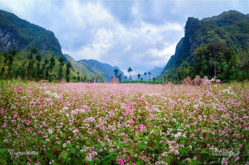 Nha Nghi T&T Hotel Dồng Van Bagian luar foto